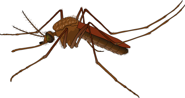 mosquito and tick control