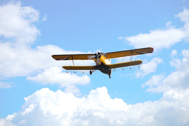 Mosquito Control