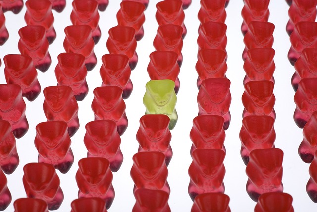 Mushroom Gummies for Focus