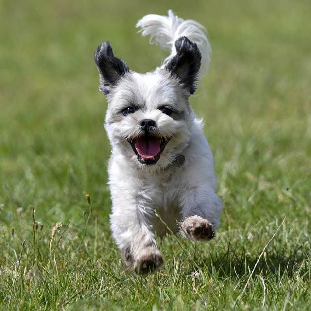 Non-Invasive Treatments