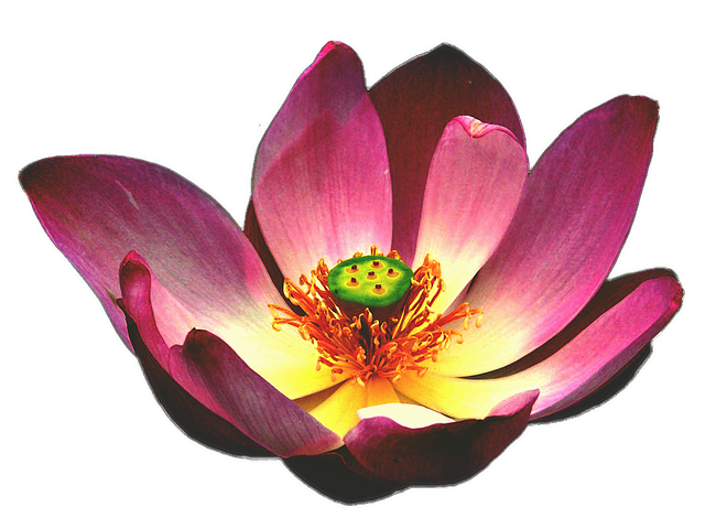 non-surgical-spa-640x480-45707873.png