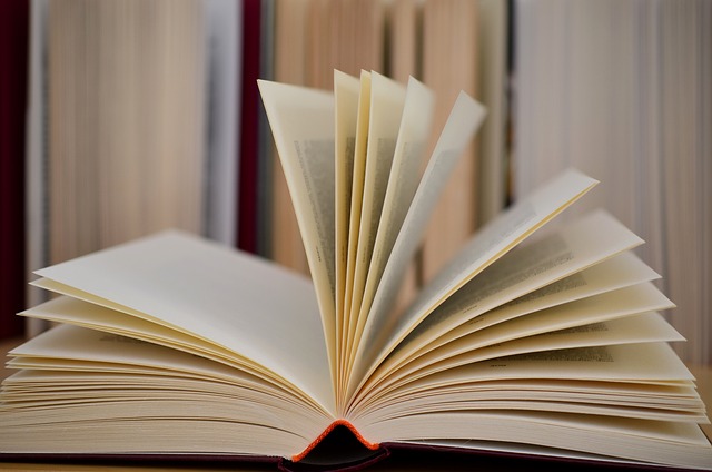 On-Page Optimization Training