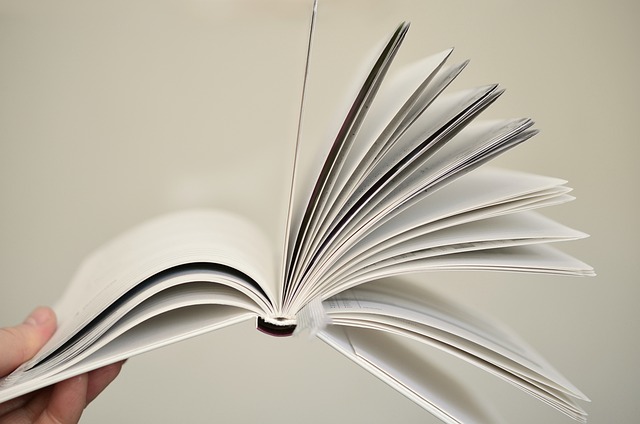 On-Page Optimization Training