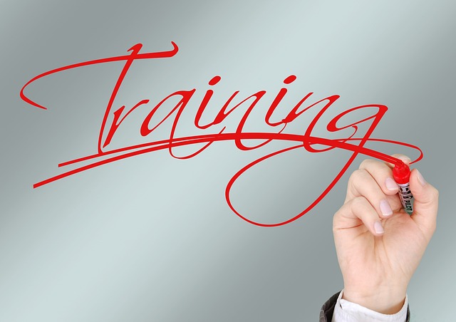 On-Page Optimization Training