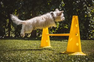 Mastering On-Page SEO: Layout Strategies for Top Rankings