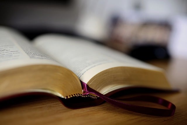 On-Page Optimization Training