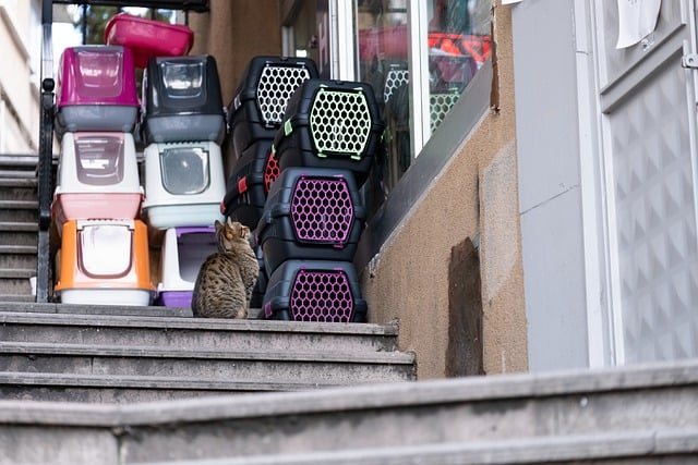 online pet marketplace