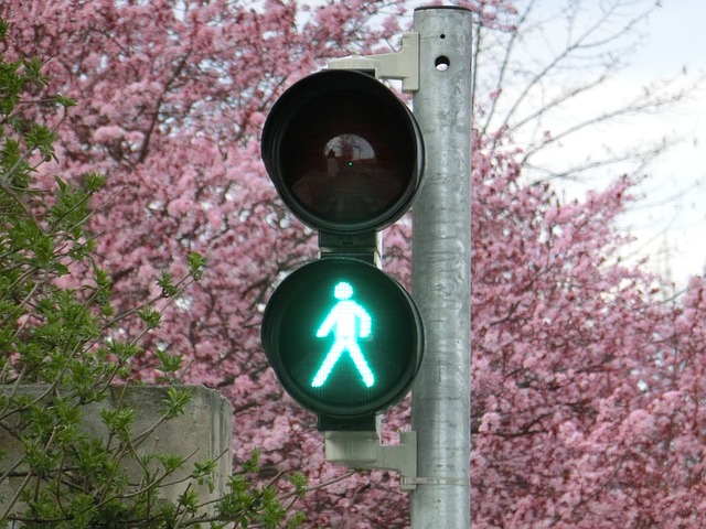 Organic Traffic
