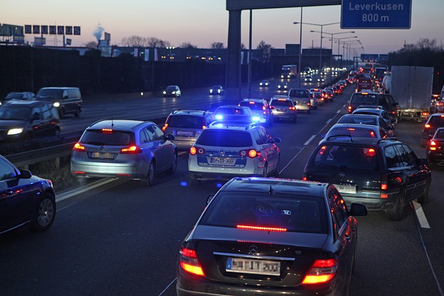 Organic Traffic
