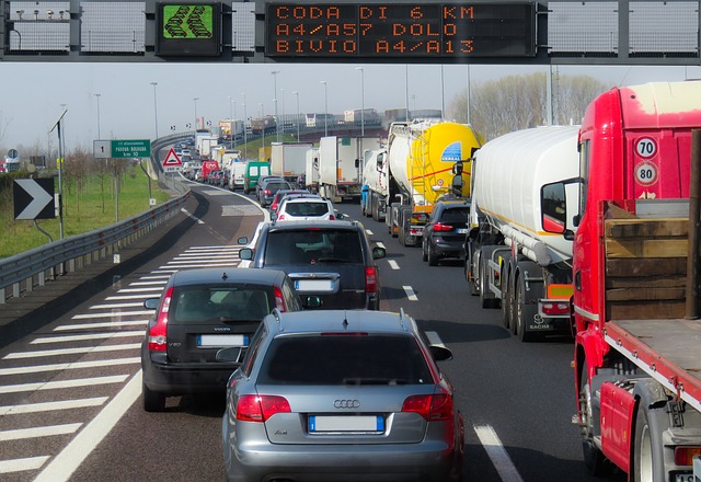 Organic Traffic
