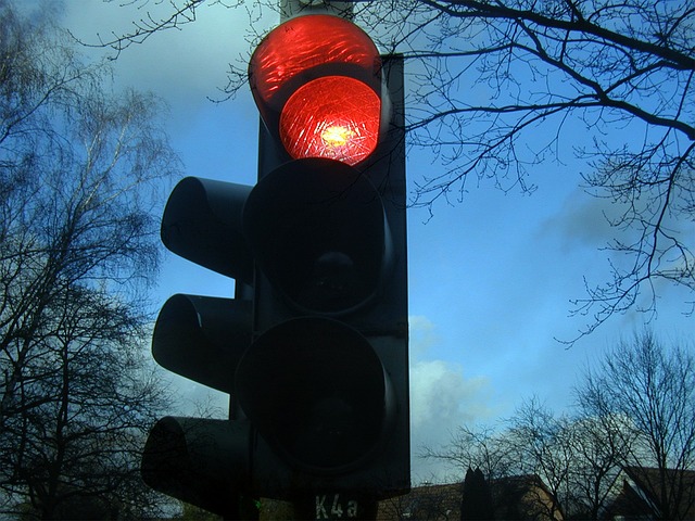 Organic Traffic