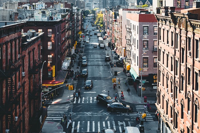 Organic Traffic