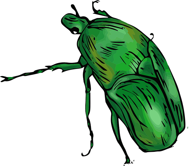 pest exterminator