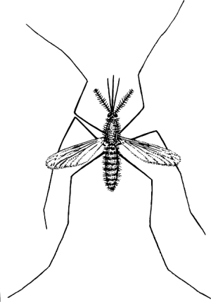 Reliable Exterminator Solutions: Expert Care for a Pest-Free Home