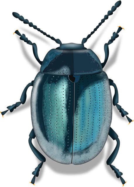 pest exterminator
