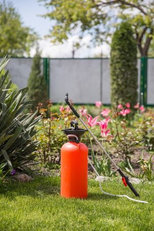 Pest Exterminator Guide: Safety, Technology, & Choosing the Best Expert