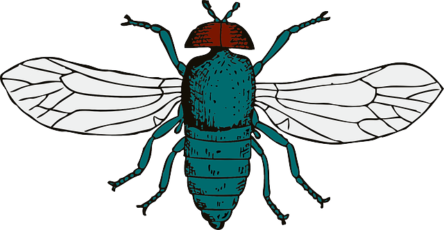 pest exterminator