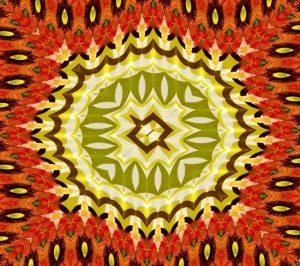 Mastering Professional Rug Cleaning: Comprehensive Care for Longevity