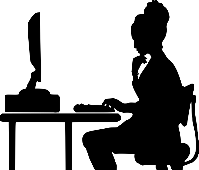 Professional SEO Programs