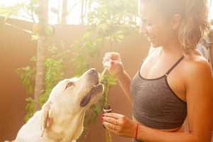 Pure CBD Isolate for Pets: Benefits, Safety, Dosage & Success Stories