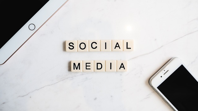 Real-Time SEO Training