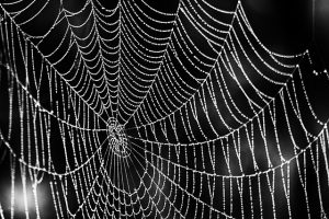 Mastering Responsive Web Design: A Comprehensive Guide