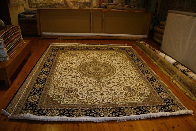 Rug Cleaning