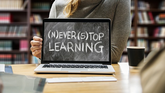 SEO Online Training