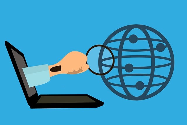 SEO Services for New Websites