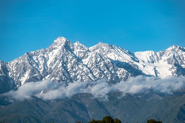 SEO Summit