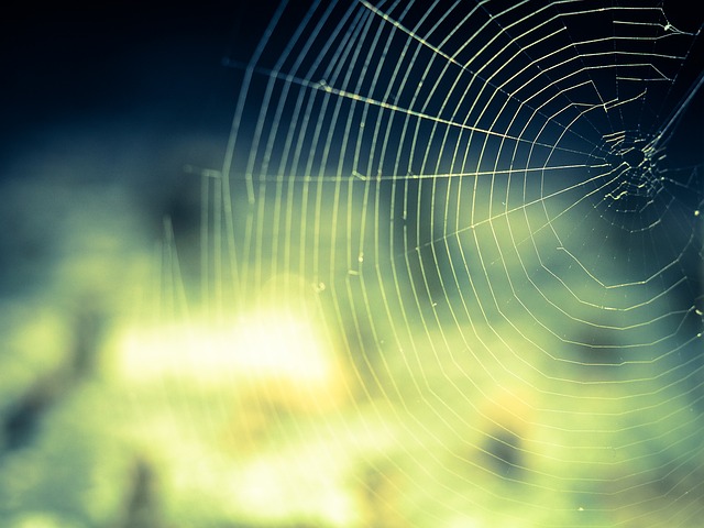 small business web designers