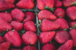 Unveiling Longevity: Strawberry Rosin Gummies’ Secret Science
