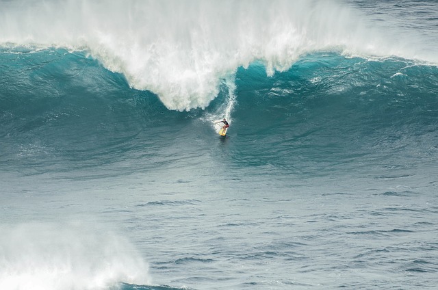surfboard for beginners