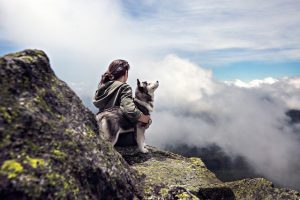 Mastering Training with Tactical Dog Harnesses: Comfort Meets Control