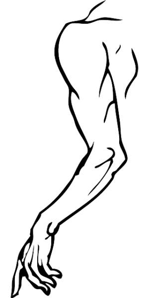 Non-Invasive Thigh Sculpting: Freezing Fat, Shaping Body with Safety