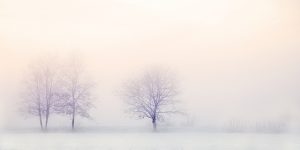 Thigh and Arm Fat Freezing: CoolSculpting for Safe, Effective Reduction