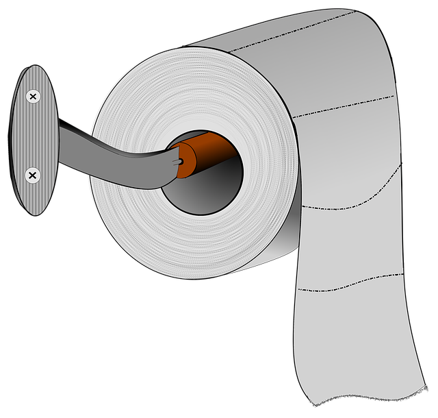 Toilet Installation