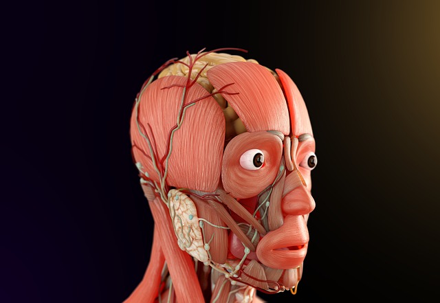 Understanding the Endocannabinoid System