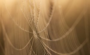 Unleash Business Potential: Mastering Custom Web Design Strategies
