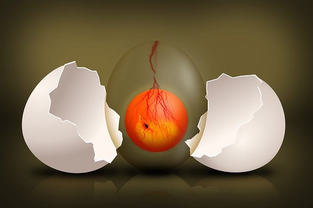 Website Development