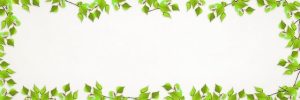 Transform Your Online Presence: Strategies for a Successful Custom Website Redesign