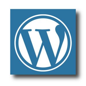 Unleash Affordable WordPress Design: Cost-Effective Solutions for Every Budget