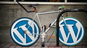 wordpress-design-640x480-97409930.jpeg