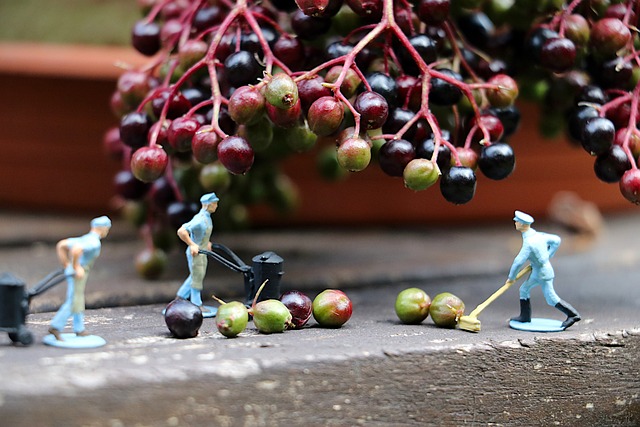Workers’ Compensation