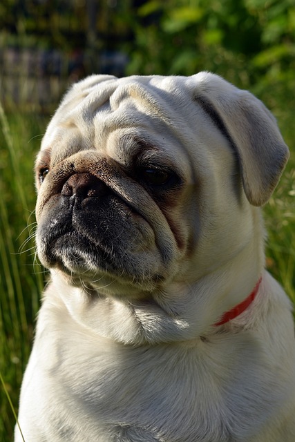 Wrinkle Reduction