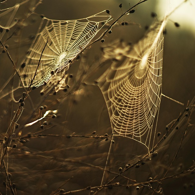 Affordable web design