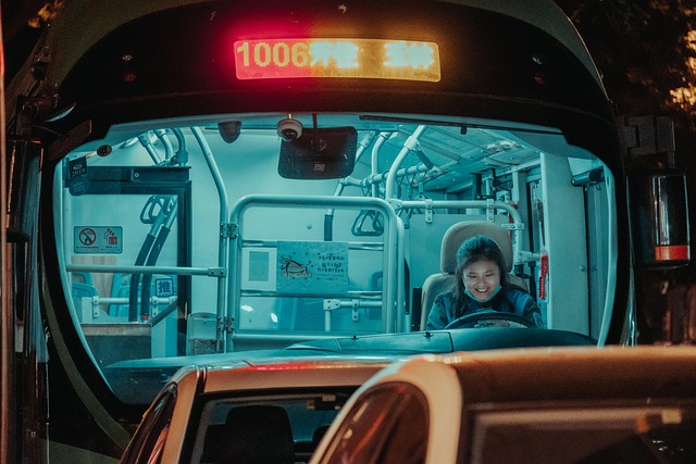 Auto Insurance for High-Risk Drivers