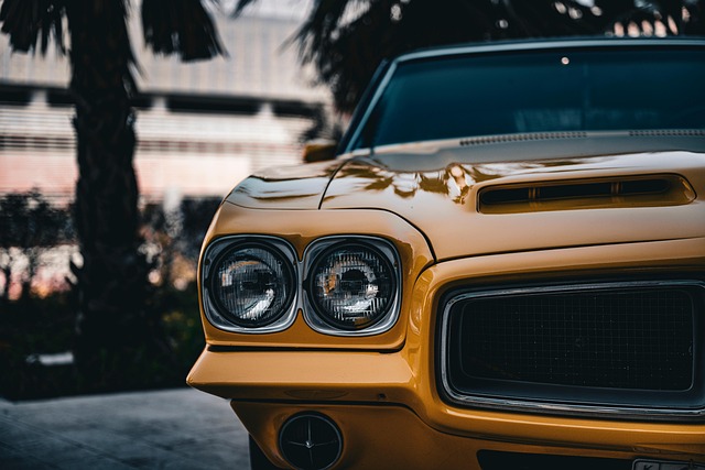 Car Insurance