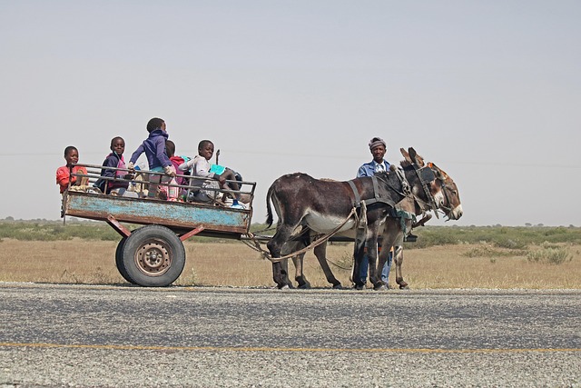 Car Insurance with Roadside Assistance