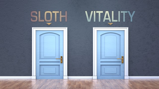 Choose an SEO Company